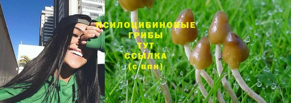мяу мяу мука Баксан